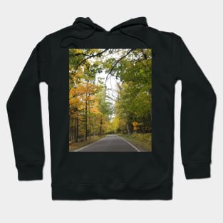 Tunnel of trees Hoodie